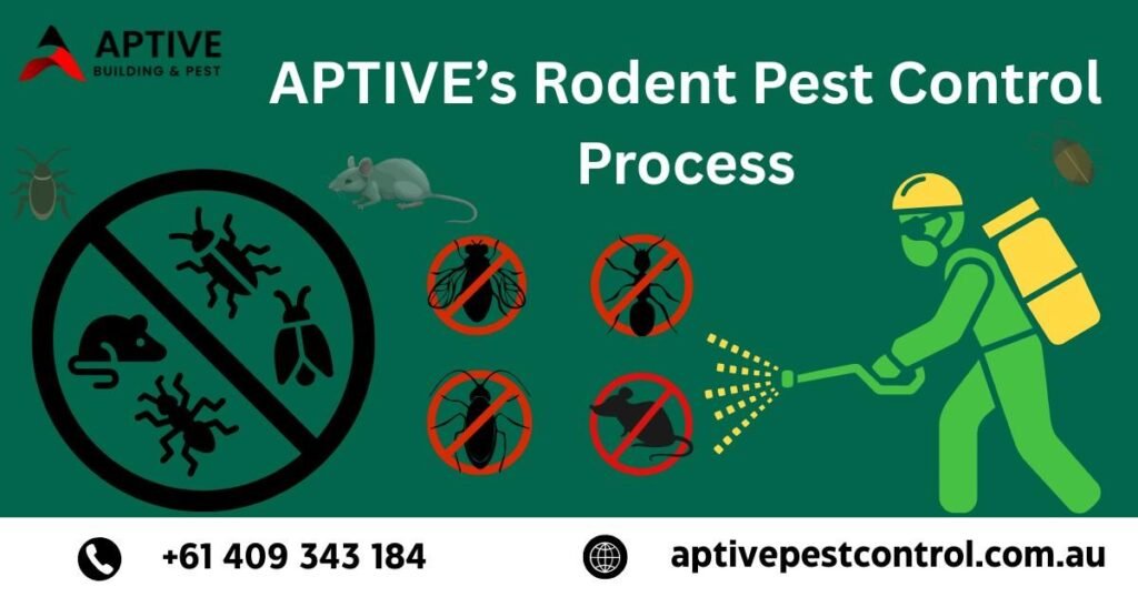 Rodent Pest Control Service In Melbourne