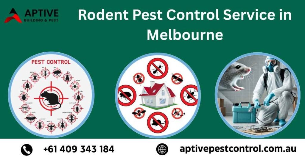 Rodent Pest Control Service in Melbourne