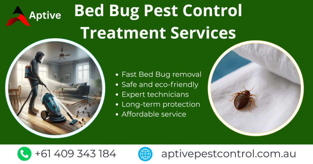Bed Bug Pest Control Treatment Services