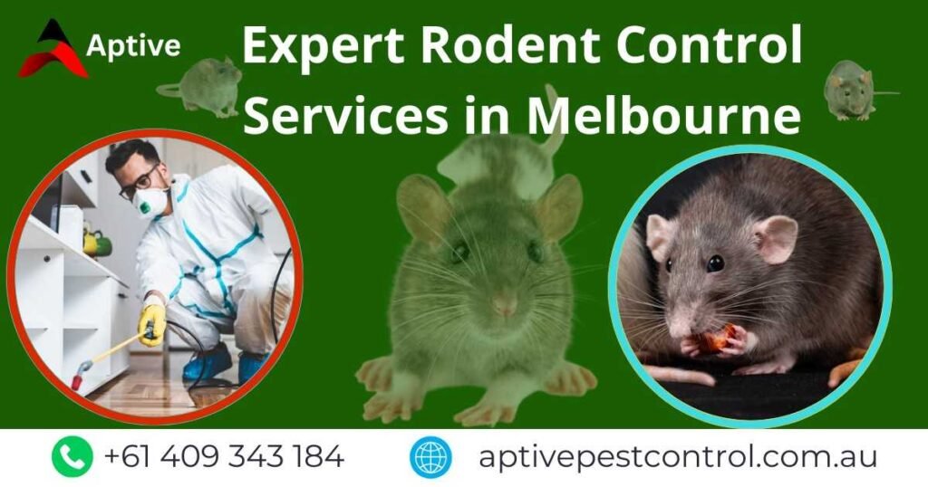 Expert Rodent Control Services in Melbourne