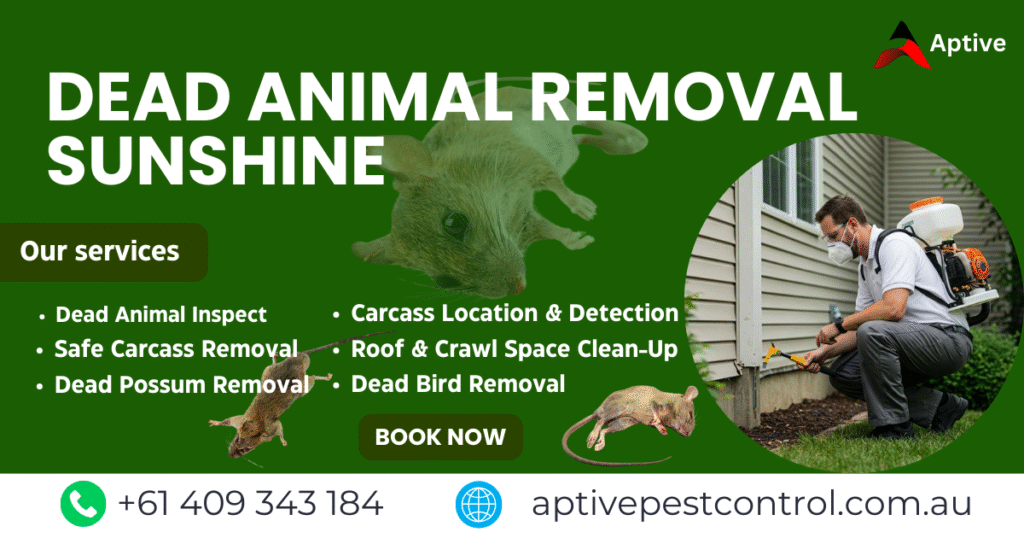 Dead Animal Removal Sunshine