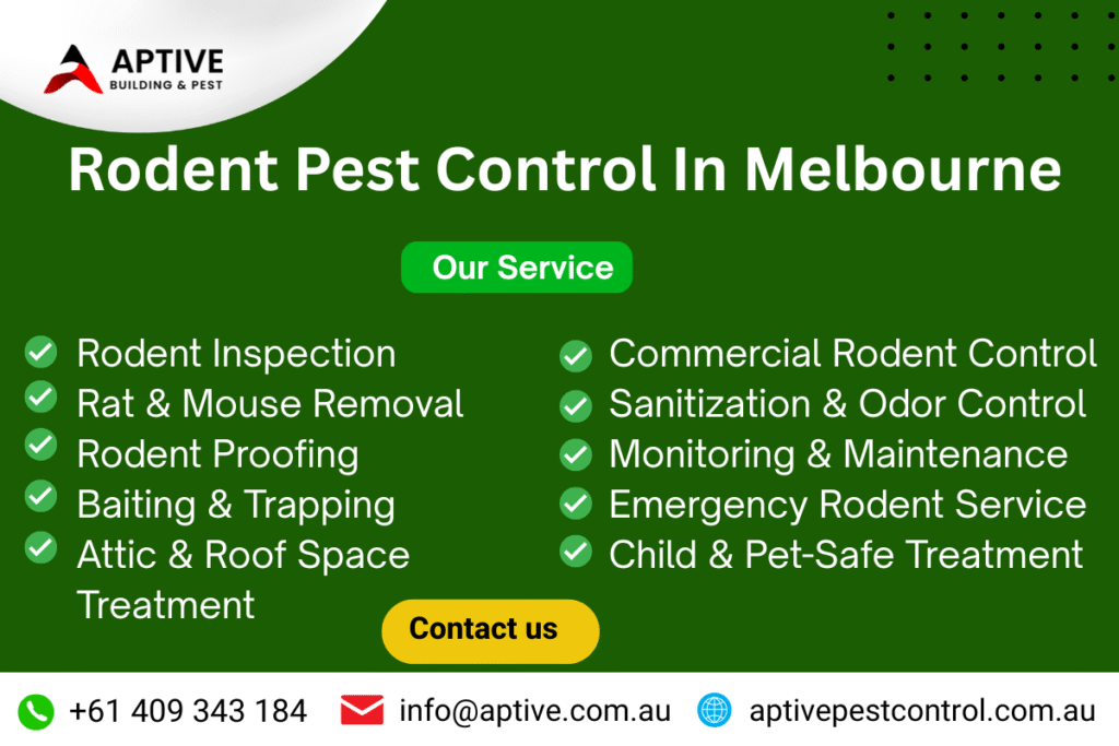 Rodent Pest Control In Melbourne