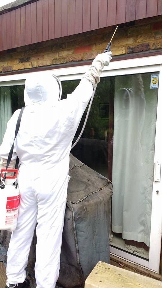 Starlings Control Melbourne