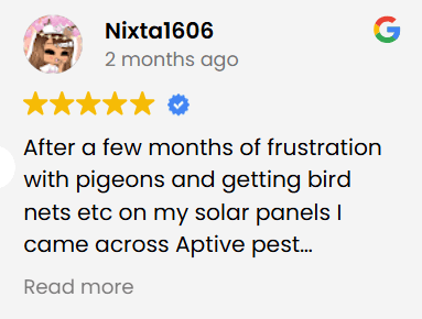 Review 1