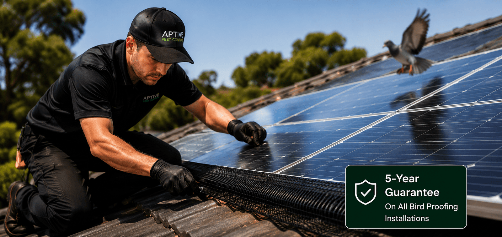 Professional technician installing solar panel bird proofing mesh as part of Solar Panel Bird Proofing Melbourne services to prevent pigeons and nuisance birds from nesting beneath solar panels.