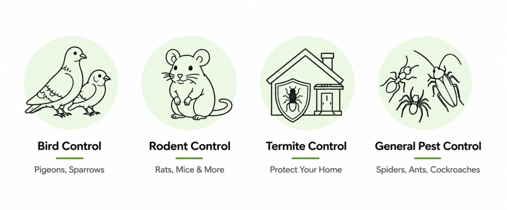 Our services