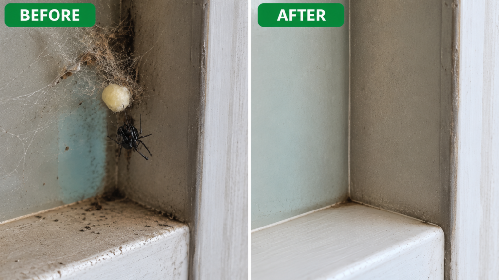 Before and after comparison of professional Spider Pest Control Melbourne showing complete spider web removal, egg sac treatment, and long-term spider prevention inside a Melbourne property.