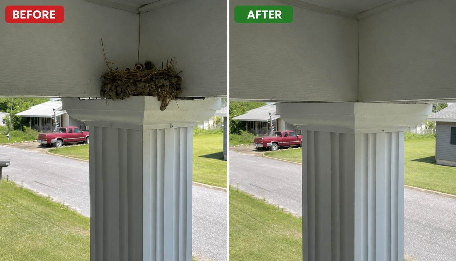 Before and after Indian Myna Pest Removal Melbourne service showing successful removal of an Indian myna nest from a residential roof, preventing future nesting and protecting the property.