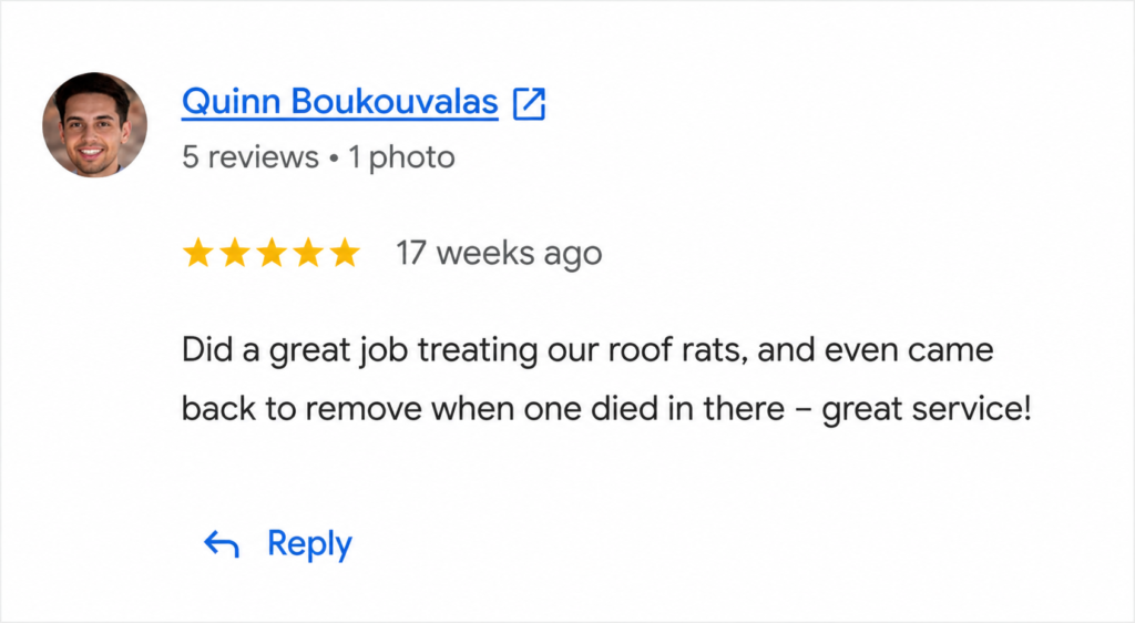 google review 4