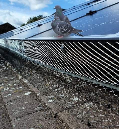 Bird proofing mesh installed around rooftop solar panels as part of Solar Panel Bird Proofing Melbourne services to prevent pigeons from nesting beneath solar panels.