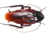 14a7304553d258a16ae09985e9db4b42