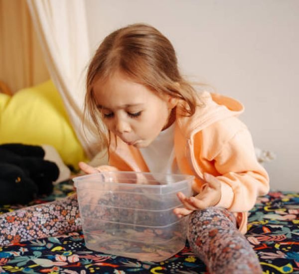 fly removal Hoppers Crossing