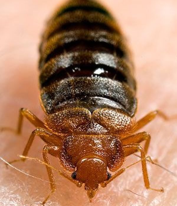 .....................